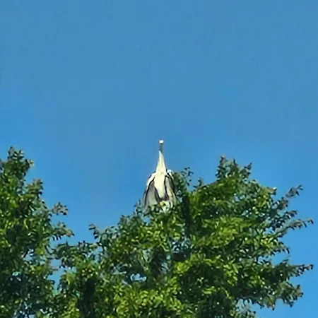 Apartment в поляне