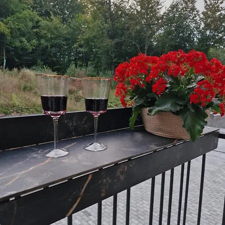 в поляне Apartment Polyana (Transcarpathia)