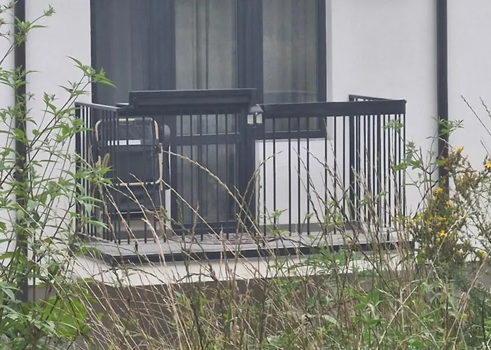 в поляне Apartament